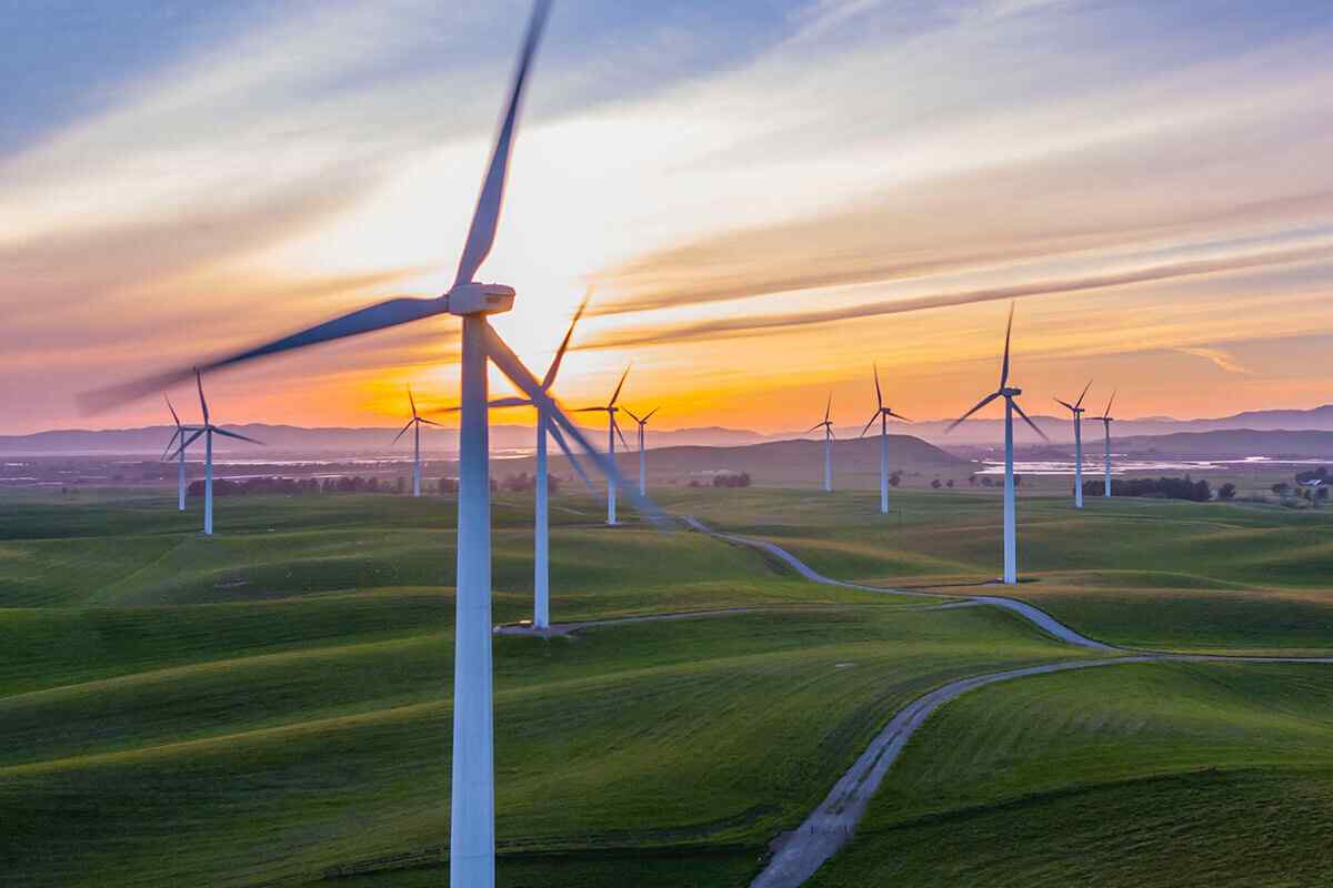 https://www.evandone.com/wp-content/uploads/2019/02/policies_03.jpg